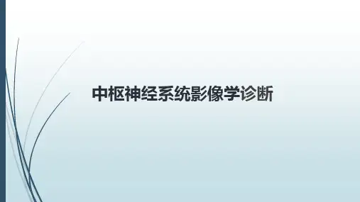 中枢神经系统影像学诊断