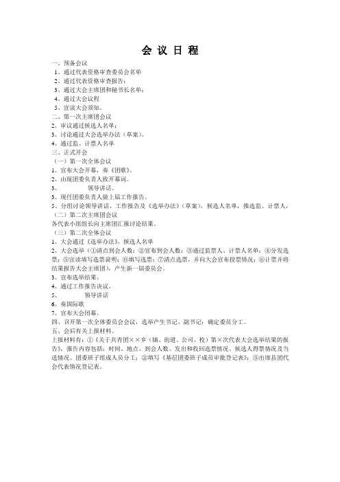大会议程