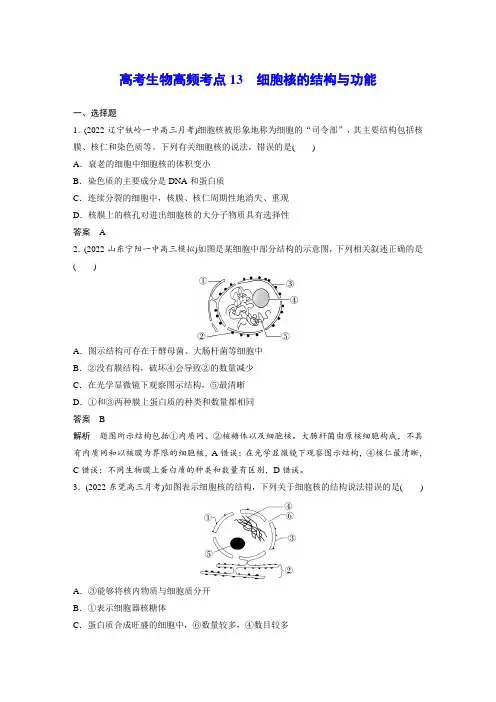 高考生物高频考点13 细胞核的结构与功能