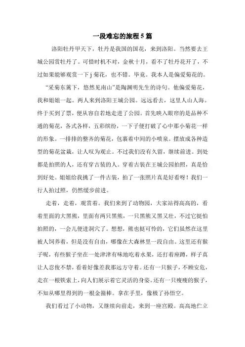 一段难忘的旅程5篇 .doc
