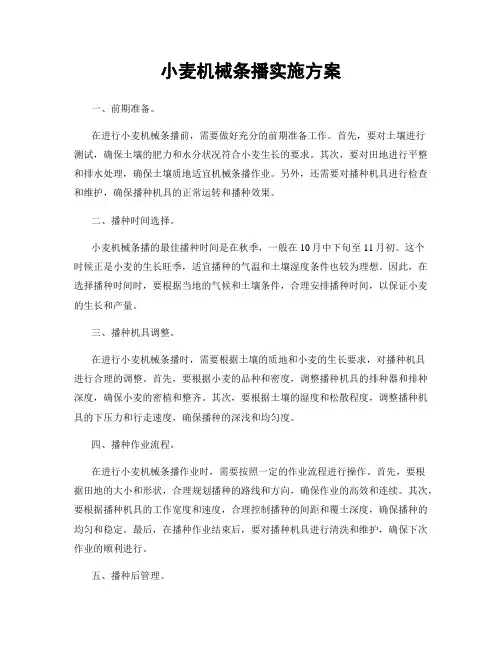 小麦机械条播实施方案