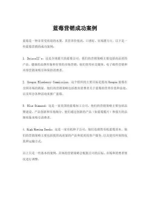 蓝莓营销成功案例