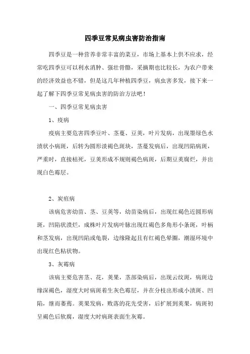 四季豆常见病虫害防治指南