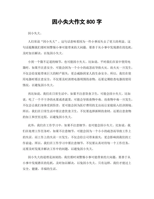 因小失大作文800字
