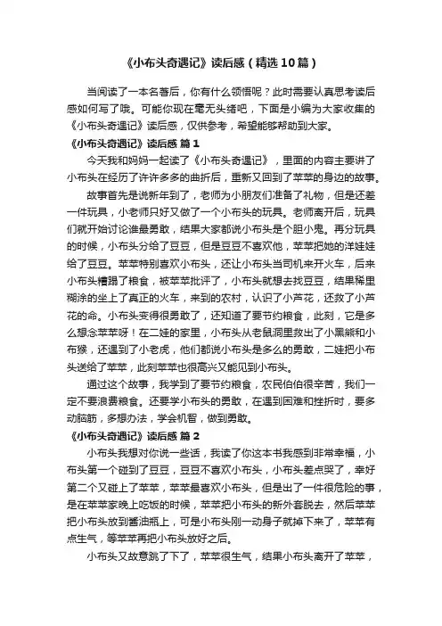 《小布头奇遇记》读后感（精选10篇）