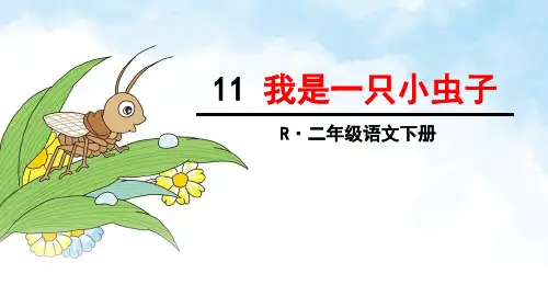 部编版二年级语文下册第11课《我是一只小虫子》优秀PPT课件