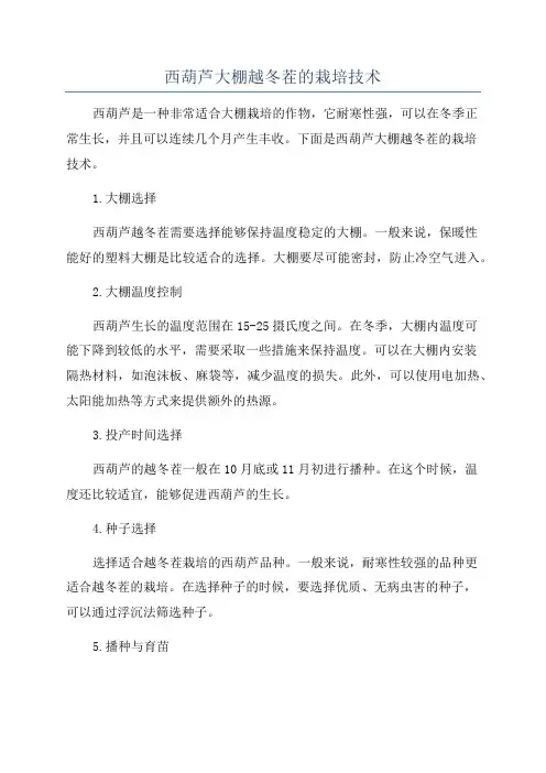西葫芦大棚越冬茬的栽培技术