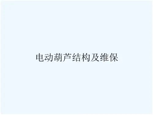 电动葫芦结构及维保