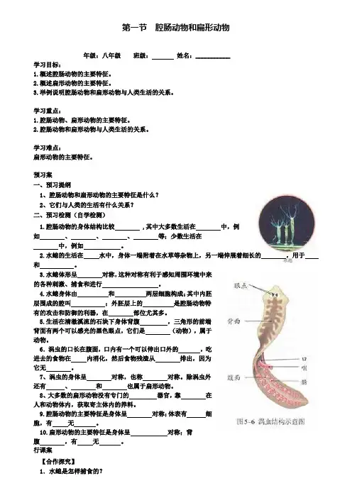 人教版八年级上册生物导学案：1.第一节腔肠动物和扁形动物(附模拟试卷含答案)