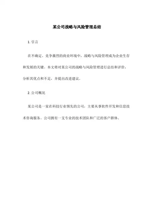 某公司战略与风险管理总结