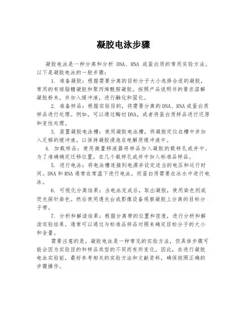凝胶电泳步骤