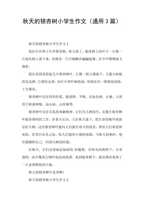 秋天的银杏树小学生作文(通用3篇)