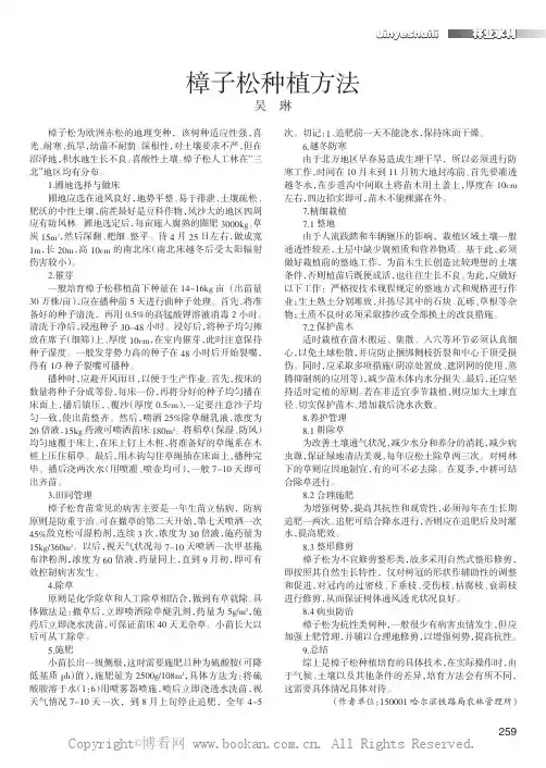 樟子松种植方法
