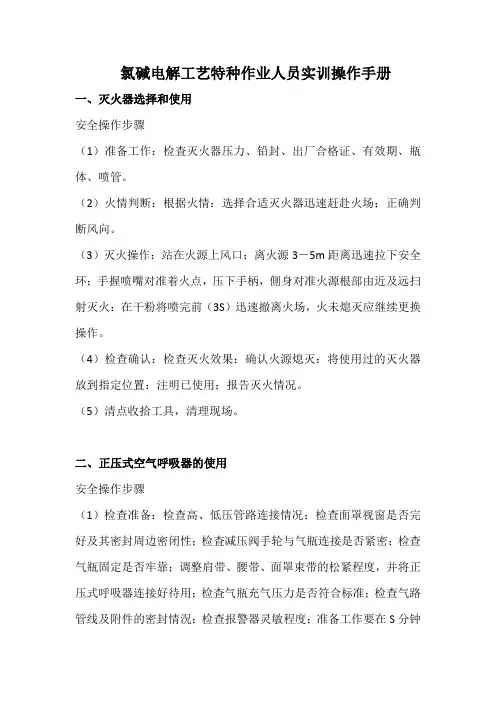氯碱电解工艺实训操作手册