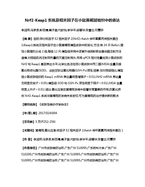 Nrf2-Keap1系统及相关因子在小鼠黄褐斑组织中的表达