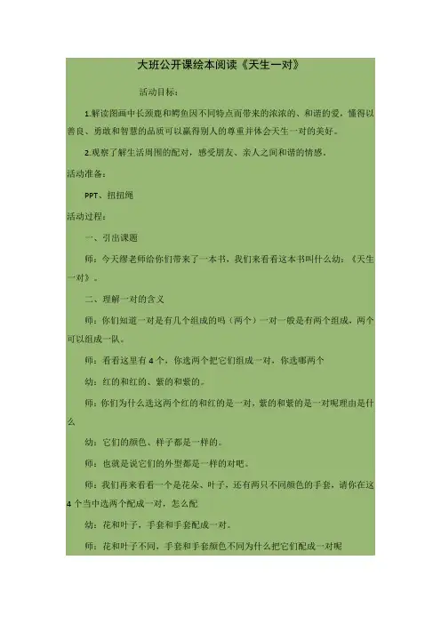 大班公开课绘本阅读《天生一对》