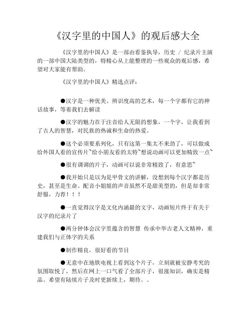 《汉字里的中国人》的观后感大全
