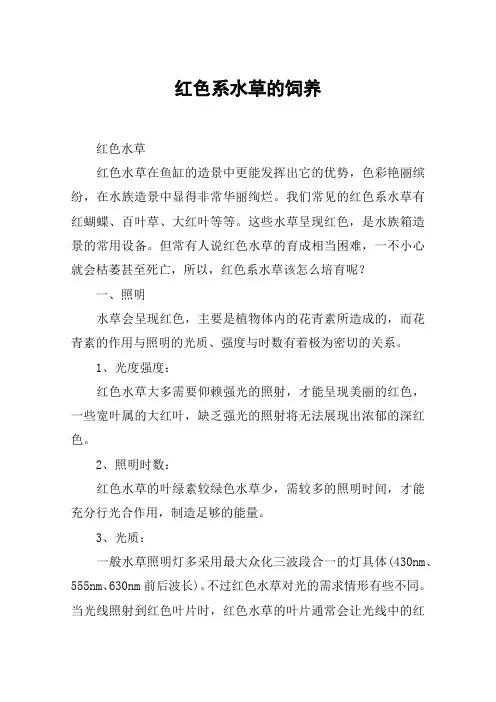 红色系水草的饲养