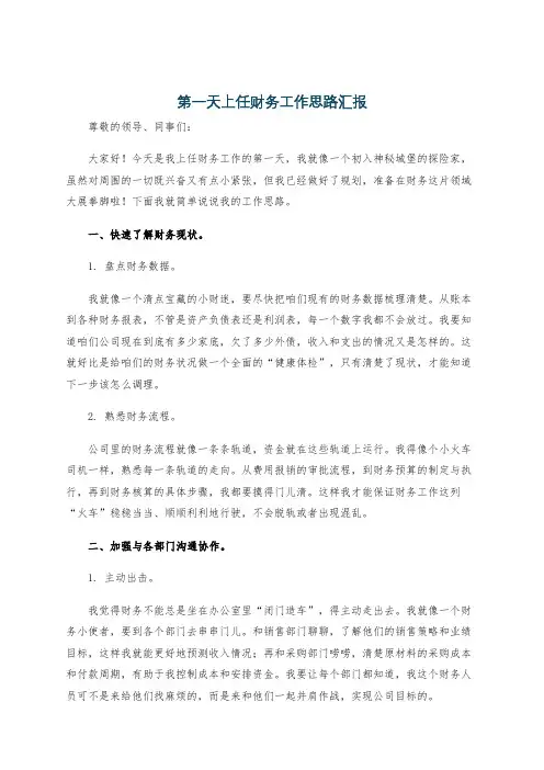 第一天上任财务工作思路汇报