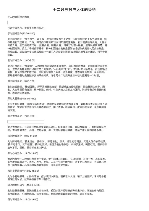 十二时辰对应人体的经络