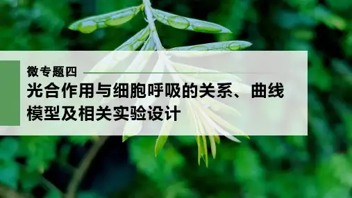 人教版   必修一 微专题四 光合作用与细胞呼吸的关系、曲线模型及相关实验设计 课件 (48张)
