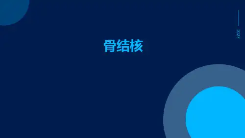 (医学课件)骨结核