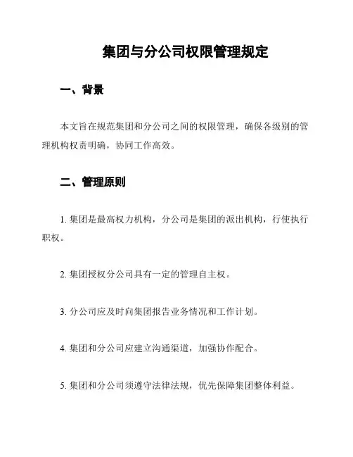 集团与分公司权限管理规定