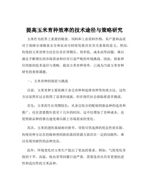 提高玉米育种效率的技术途径与策略研究