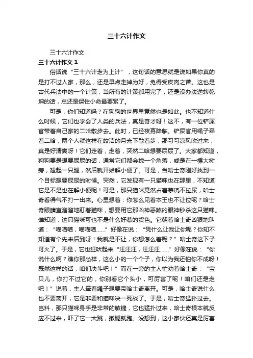 三十六计作文