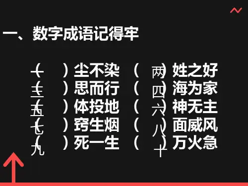 小学生趣味成语PPT课件
