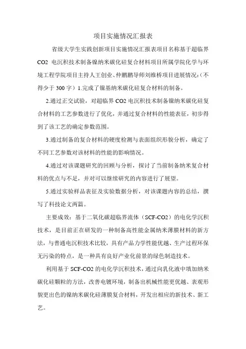 项目实施情况汇报表.doc