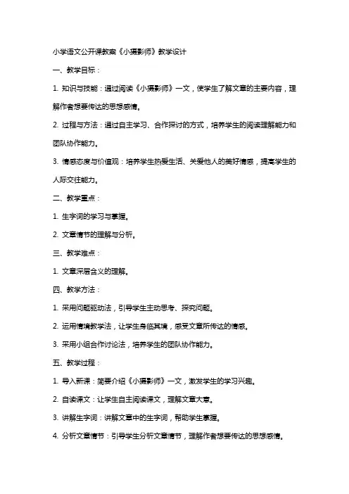 小学语文公开课教案《小摄影师》教学设计