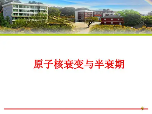 原子核衰变与半衰期   放射性的应用与防护