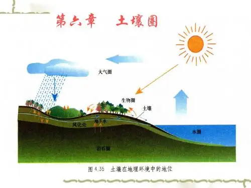 自然地理学 第六章 土壤圈