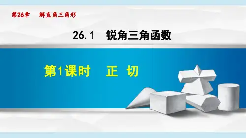 冀教版九年级数学上《锐角三角函数》PPT课件