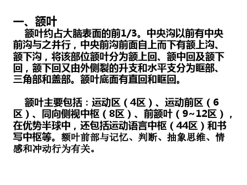 最新大脑额叶的功能定位PPT课件