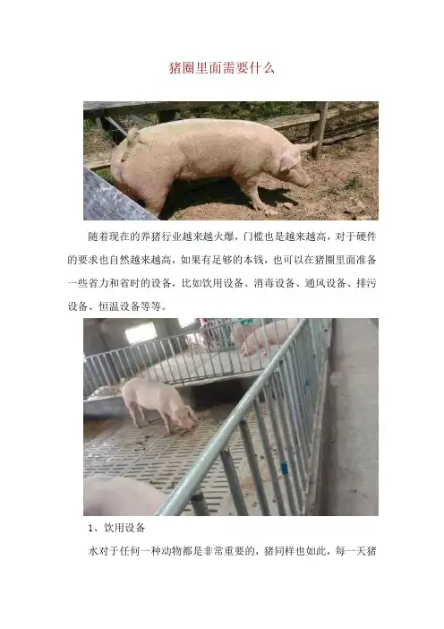 猪圈里面需要什么