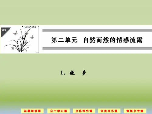 《故乡》教学PPT课件(人教版(新课程标准))