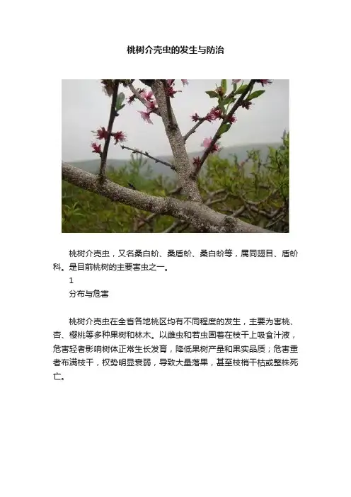 桃树介壳虫的发生与防治