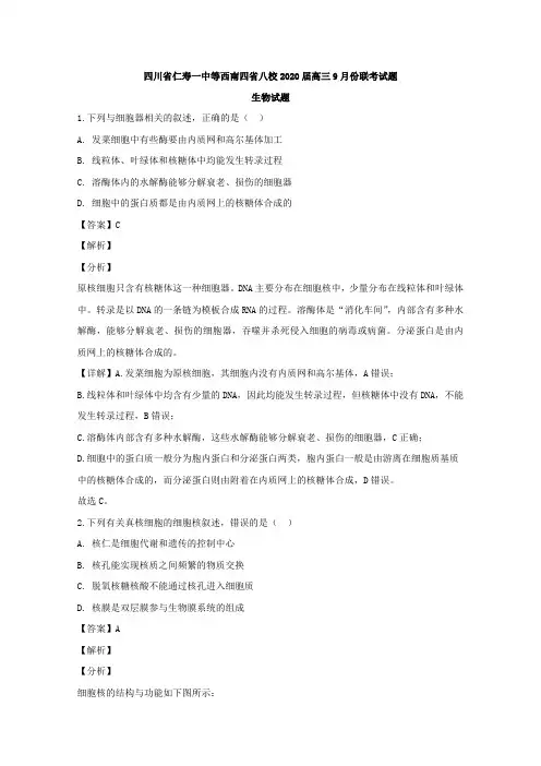 【解析版】四川省西南四省八校仁寿一中等2020届高三9月联考生物试题
