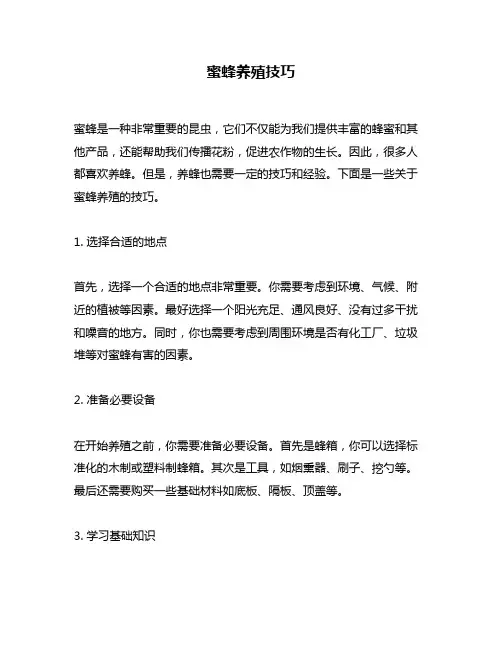 蜜蜂养殖技巧