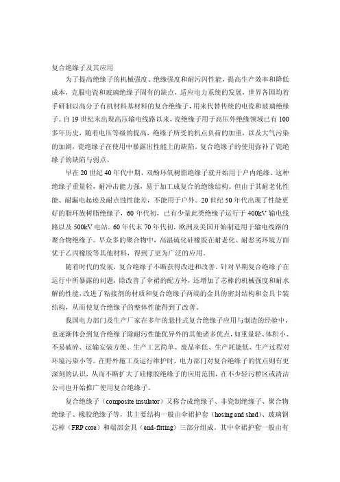 宝典复合绝缘子及其应用