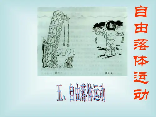 高一物理自由落体运动课件2