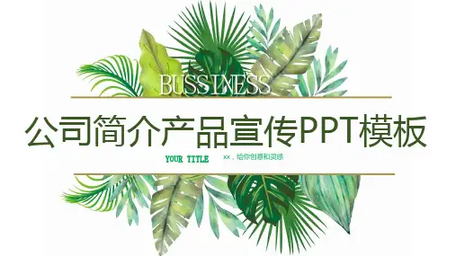 公司企业介绍简介产品宣传PPT模板29