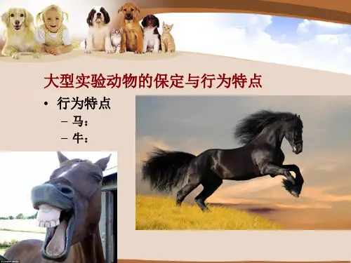 实验动物的保定技术