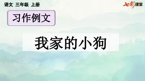 三年级语文上册我家的小狗课件