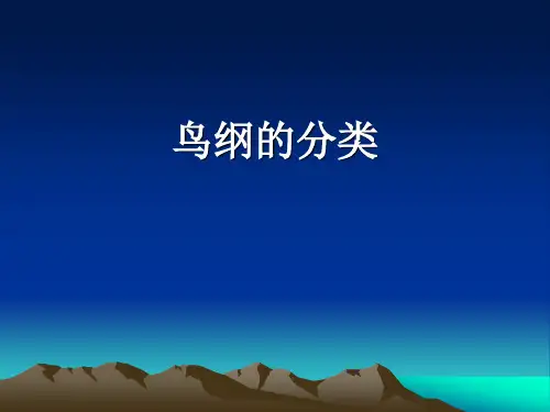 鸟类分类(二)