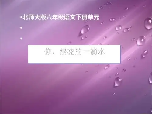《你,浪花的一滴水》PPT课件