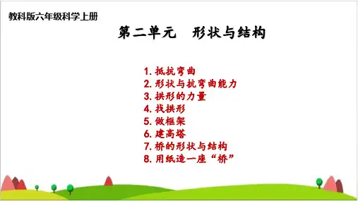 六年级科学上册课件 第二单元课件汇总    教科版  (共172张PPT)