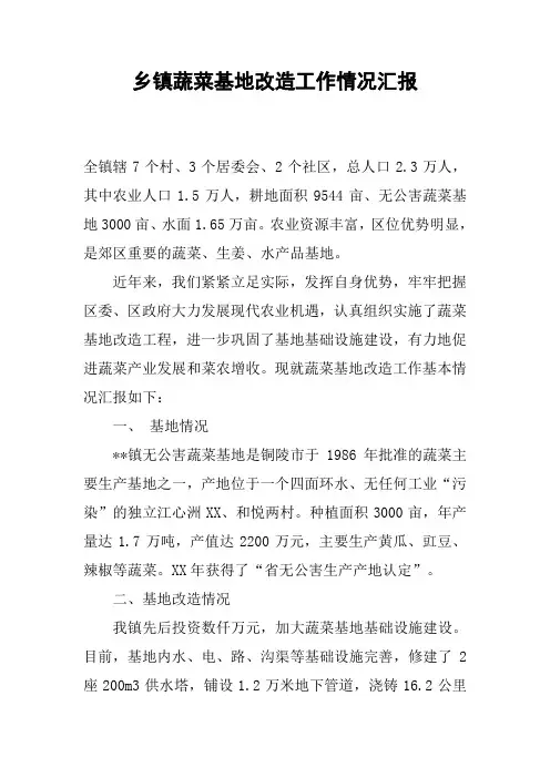 乡镇蔬菜基地改造工作情况汇报